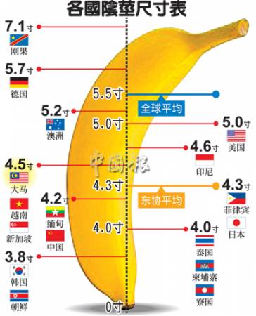 台灣男人平均長度 - 男女愛愛
